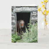 HORSES KAART (Gele Bloem)