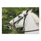 HORSES KAART (Voorkant Horizontaal)