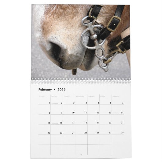 Horses Kalender (Feb 2026)