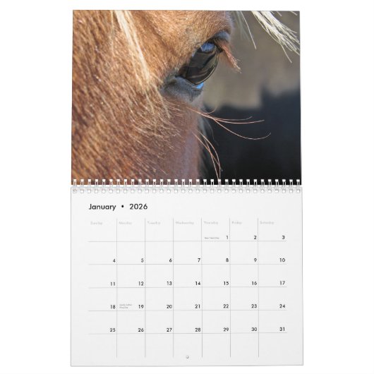 Horses Kalender (Jan 2026)