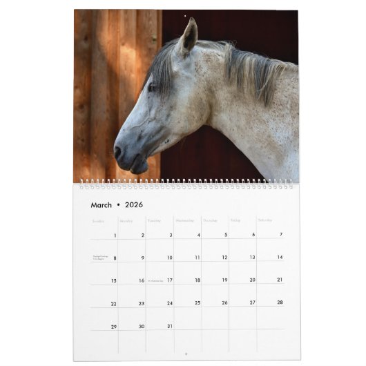 Horses Kalender (Mar 2026)