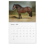 Horses Kalender (Feb 2027)