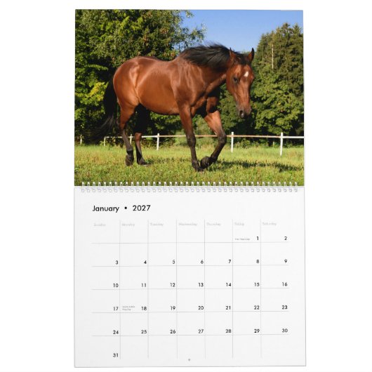 Horses Kalender (Jan 2027)