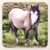 HORSES KARTONNEN ONDERZETTERS (Voorkant)