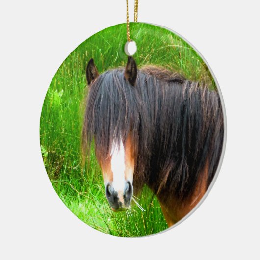 HORSES KERAMISCH ORNAMENT (Links)