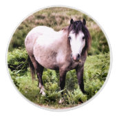 HORSES KERAMISCHE KNOP (Voorkant)