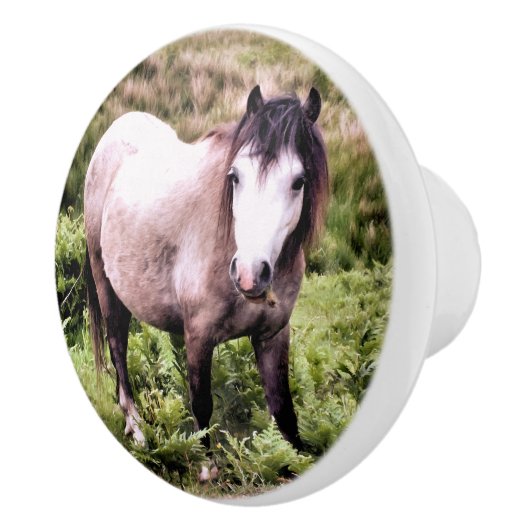 HORSES KERAMISCHE KNOP (Rechts)