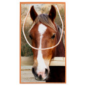 HORSES KLEIN CADEAUZAKJE (Achterkant)