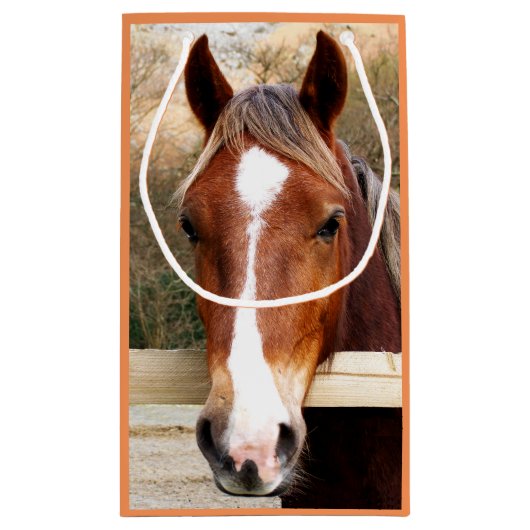 HORSES KLEIN CADEAUZAKJE (Achterkant)