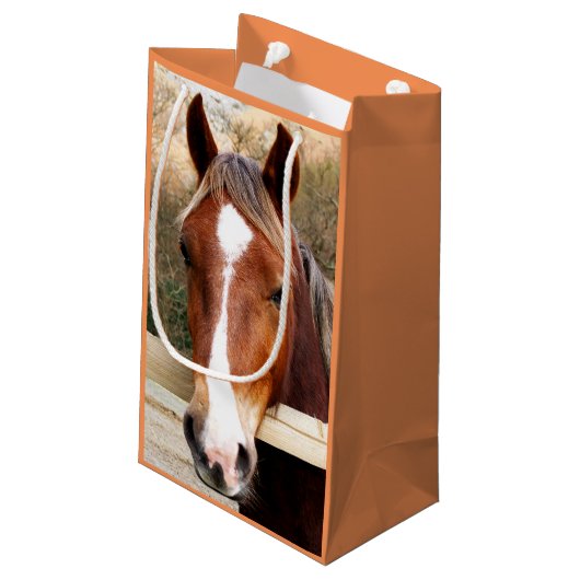 HORSES KLEIN CADEAUZAKJE (Achterkant Gekanteld)