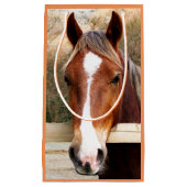 HORSES KLEIN CADEAUZAKJE (Voorkant)