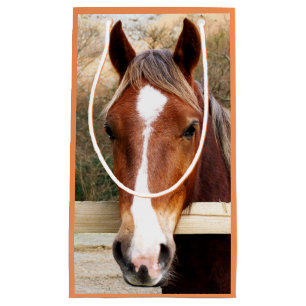 HORSES KLEIN CADEAUZAKJE