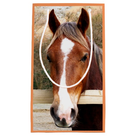 HORSES KLEIN CADEAUZAKJE (Voorkant)