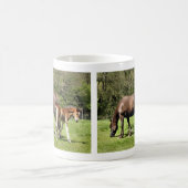 HORSES KOFFIEMOK (Center)