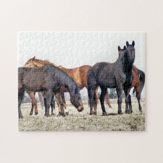 HORSES LEGPUZZEL (Horizontaal)