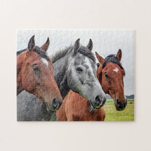 Horses Legpuzzel