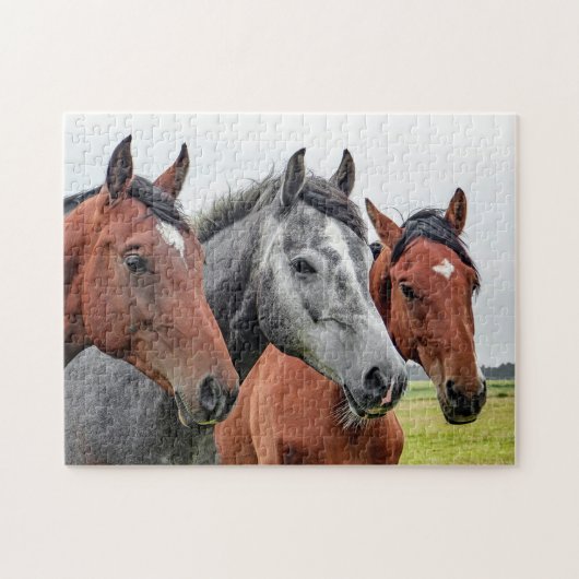 Horses Legpuzzel (Horizontaal)