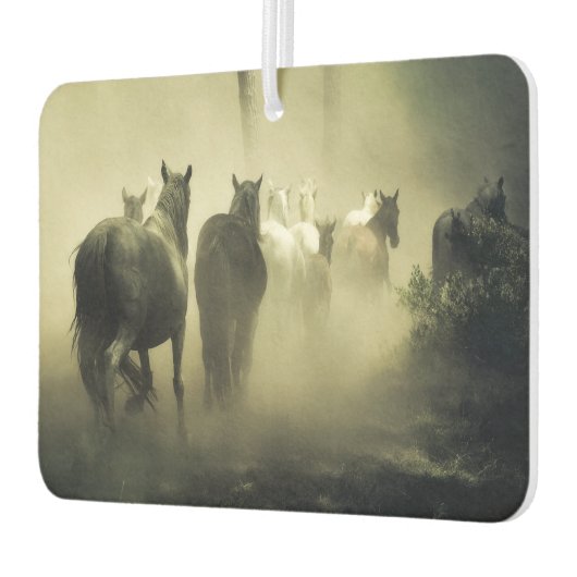 Horses Luchtverfrisser (Links)