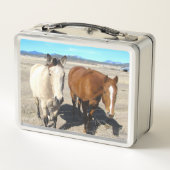 Horses Lunch Box (Achterkant)
