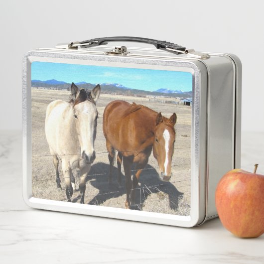 Horses Lunch Box (In situ)