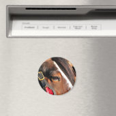 HORSES MAGNEET (Insitu (Vaatwasser))