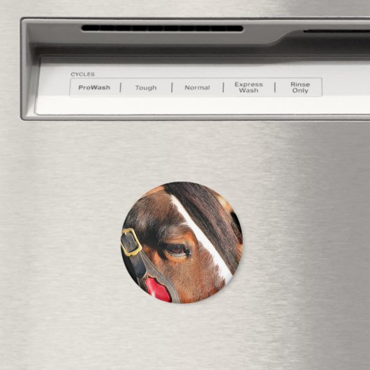 HORSES MAGNEET (Insitu (Vaatwasser))