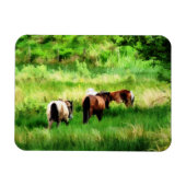 HORSES MAGNEET (Horizontaal)