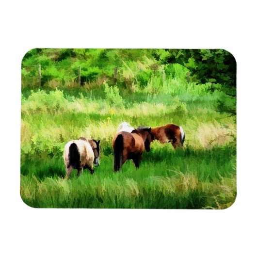 HORSES MAGNEET (Horizontaal)