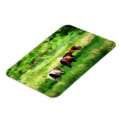 HORSES MAGNEET (Linkerzijde)