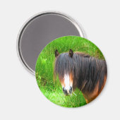 HORSES MAGNEET (Voorkant / Achterkant)