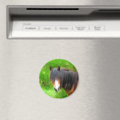 HORSES MAGNEET (Insitu (Vaatwasser))