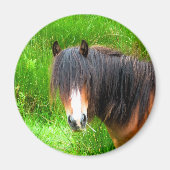 HORSES MAGNEET (Voorkant)