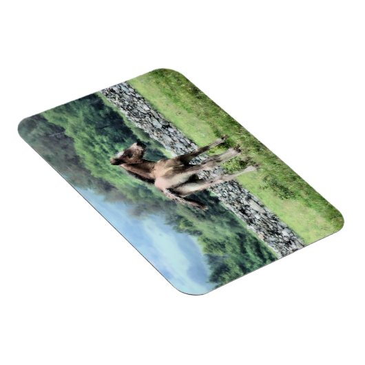 HORSES MAGNEET (Rechterzijde)