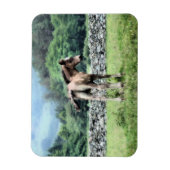 HORSES MAGNEET (Verticaal)