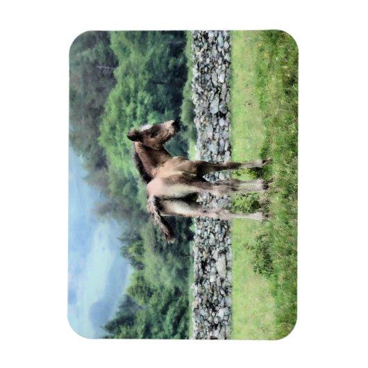 HORSES MAGNEET (Verticaal)