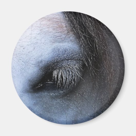 HORSES MAGNEET (Voorkant)