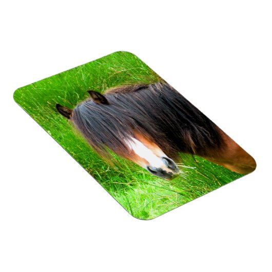 HORSES MAGNEET (Rechterzijde)