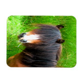 HORSES MAGNEET (Horizontaal)