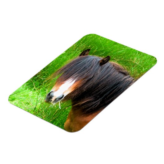 HORSES MAGNEET (Linkerzijde)