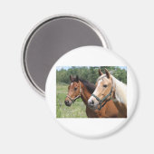 Horses Magneet (Voorkant / Achterkant)