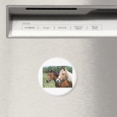 Horses Magneet (Insitu (Vaatwasser))