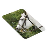 HORSES MAGNEET (Rechterzijde)