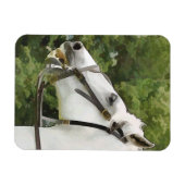 HORSES MAGNEET (Horizontaal)