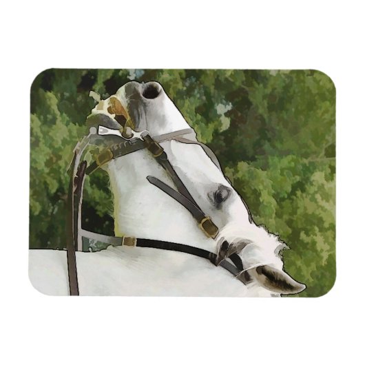 HORSES MAGNEET (Horizontaal)