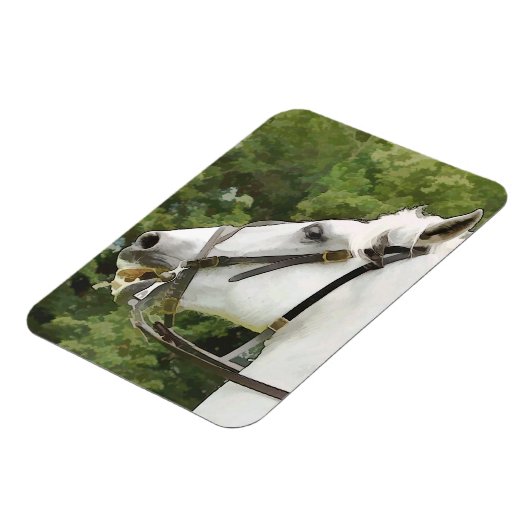 HORSES MAGNEET (Linkerzijde)