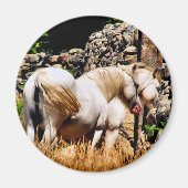 HORSES MAGNEET (Voorkant)