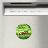 HORSES MAGNEET (Insitu (Vaatwasser))