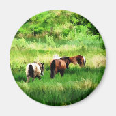 HORSES MAGNEET (Voorkant)