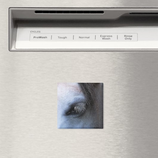 HORSES MAGNEET (Insitu (Vaatwasser))