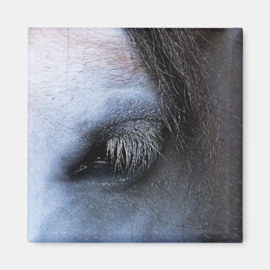 HORSES MAGNEET (Voorkant)